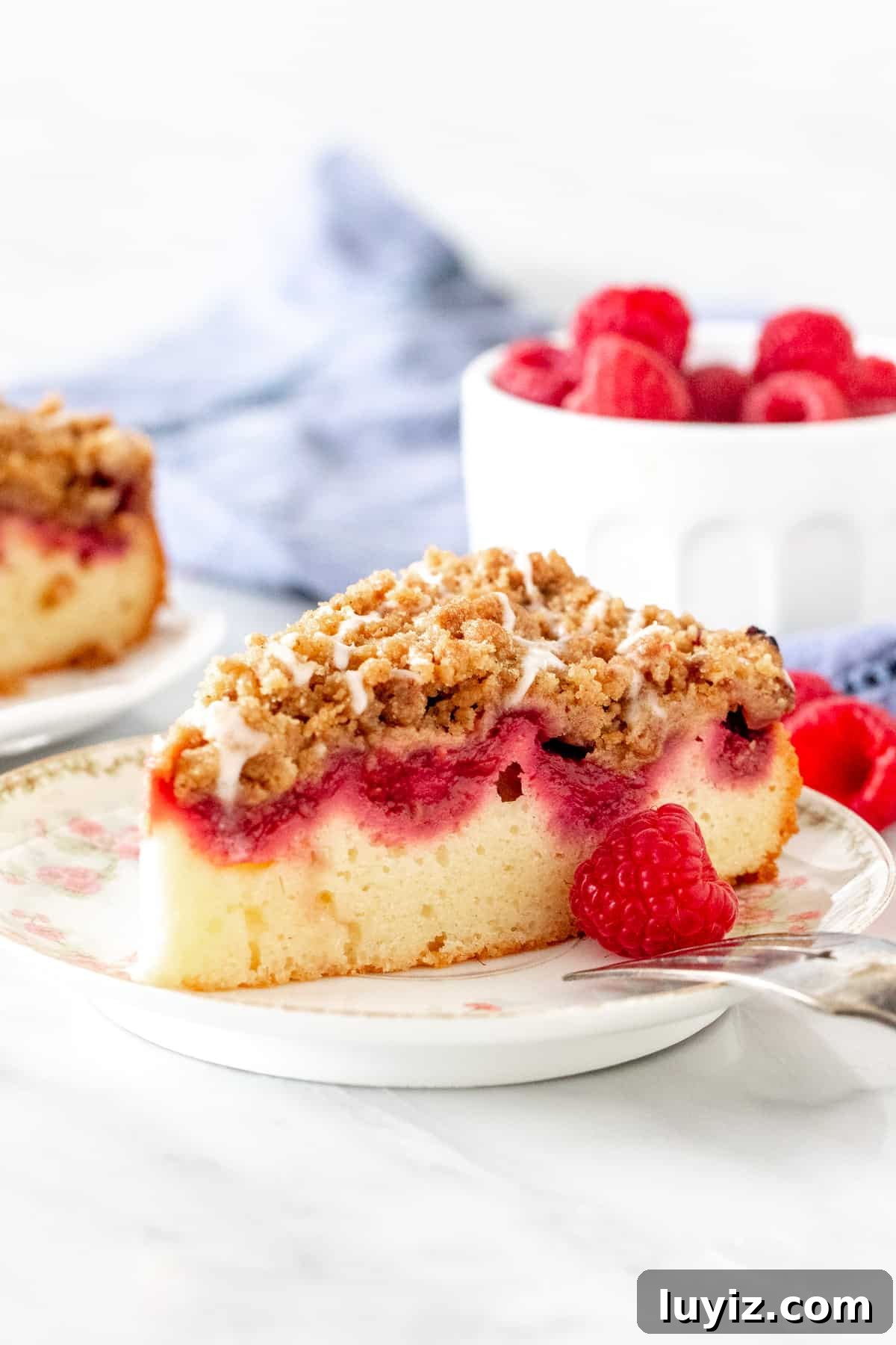 Raspberry Streusel Coffee Cake Recipe with Fresh Berries 2 Slice of raspberry coffee cake