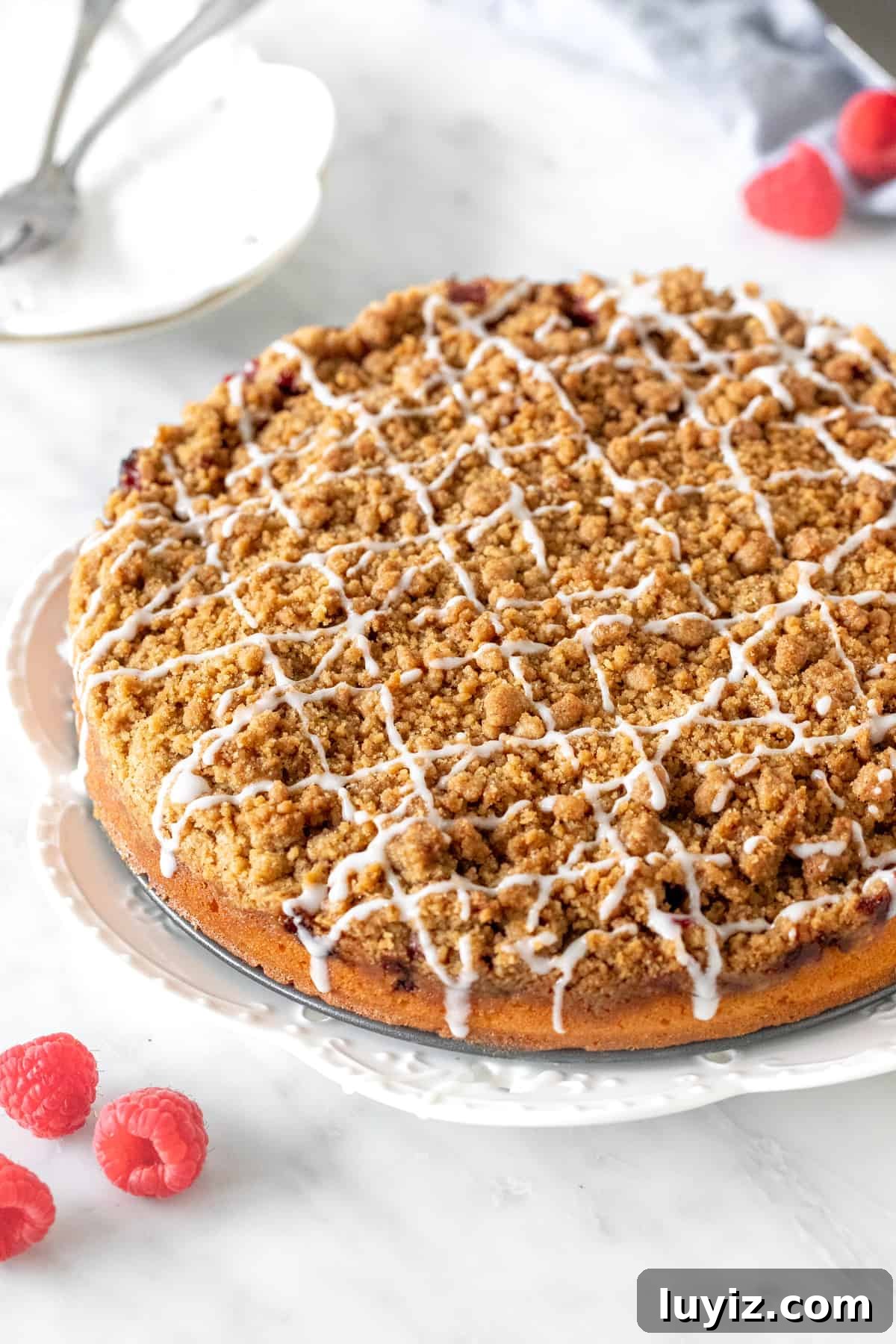 Raspberry Streusel Coffee Cake Recipe with Fresh Berries 4 9-inch round coffee cake with drizzle of glaze on top.