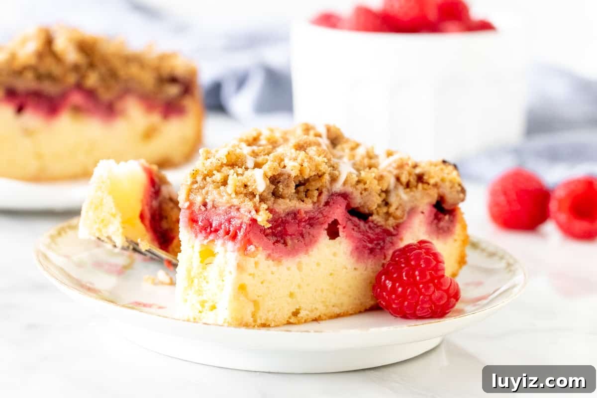 Raspberry Streusel Coffee Cake Recipe with Fresh Berries 5 Slice of raspberry crumb cake with a bite taken out of it.