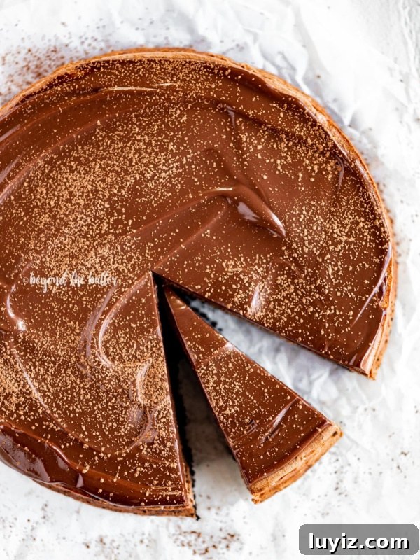 Homemade Baked Chocolate Donuts Recipe for Perfect Texture 12 Overhead angled image of Triple Chocolate Mocha Cheesecake dusted with cocoa and a slice removed.