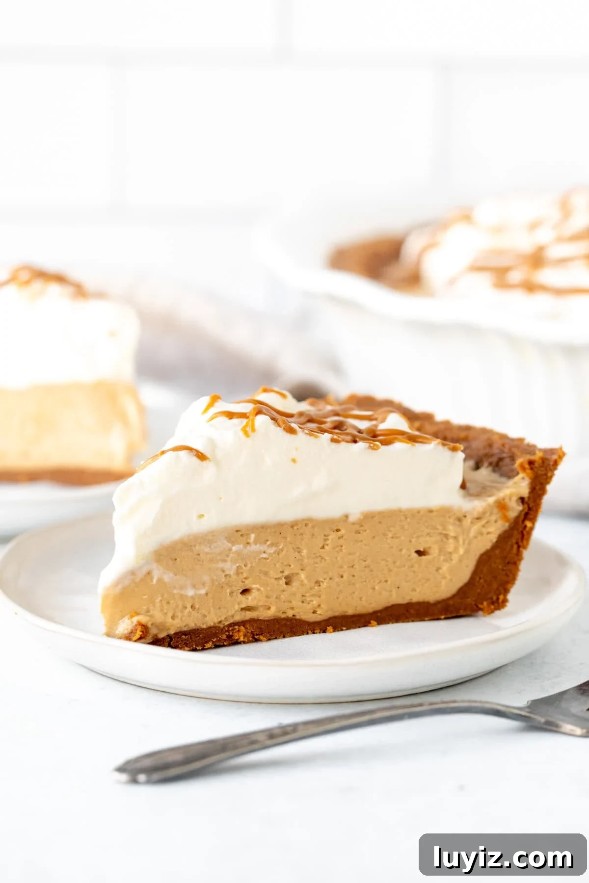 No-Bake Biscoff Cheesecake Pie: Creamy No-Oven Dessert 3 Slice of no bake Biscoff pie with whipped cream on top