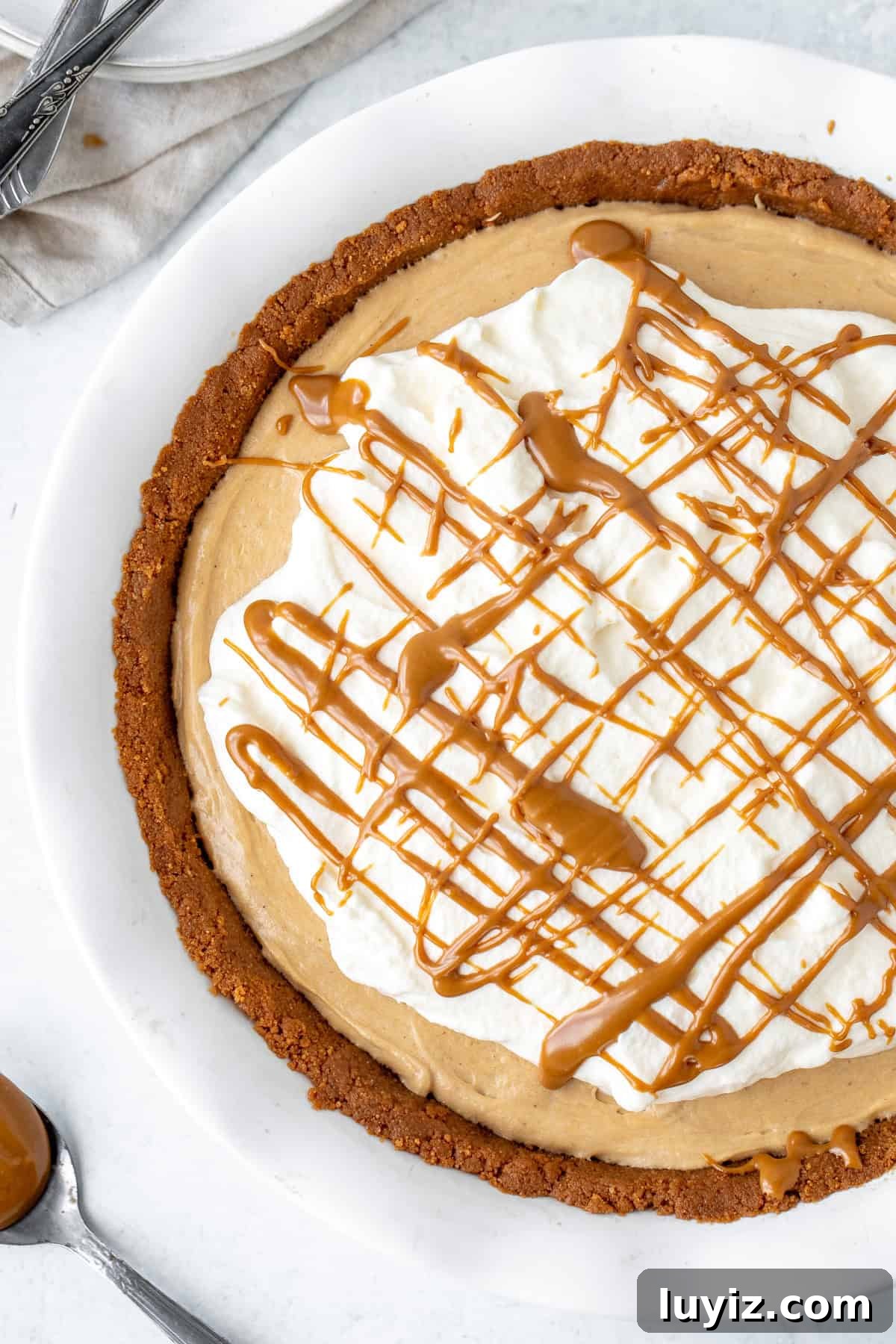 No-Bake Biscoff Cheesecake Pie: Creamy No-Oven Dessert 8 Cookie butter pie topped with whipped cream and a drizzle of cookie butter in a white pie plate