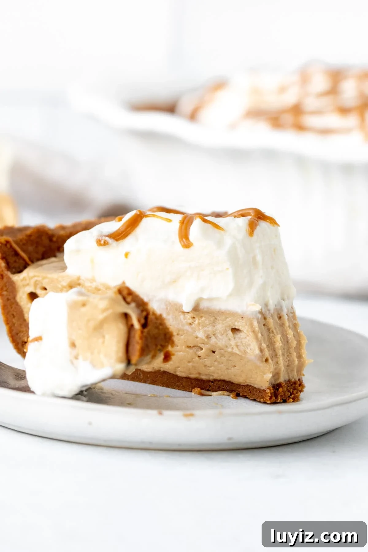 No-Bake Biscoff Cheesecake Pie: Creamy No-Oven Dessert 9 img 22312 8