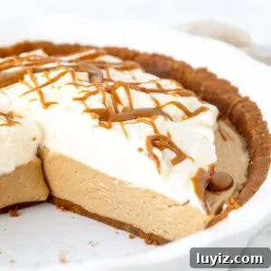 No-Bake Biscoff Cheesecake Pie: Creamy No-Oven Dessert 10 Cookie butter pie with whipped cream on top in a pie plate