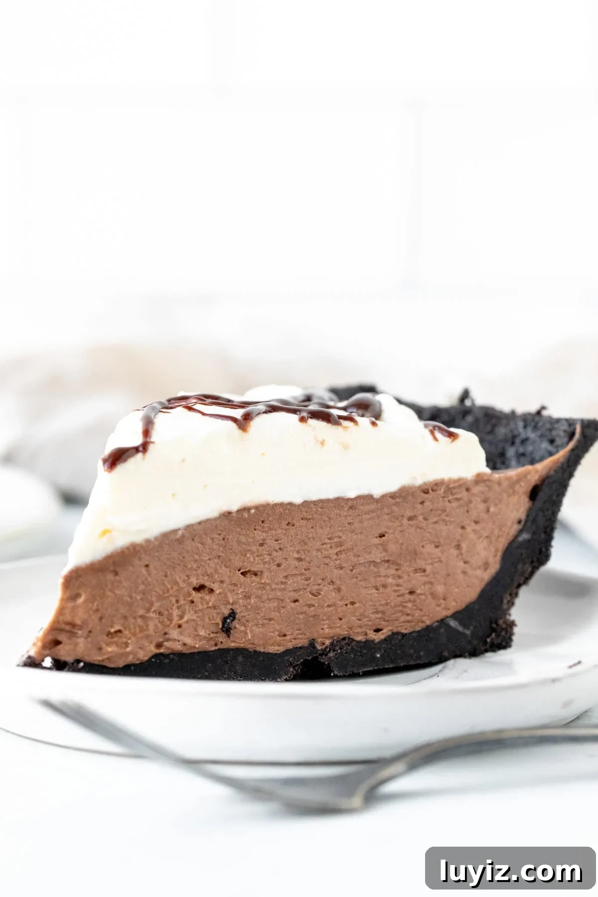 Decadent Nutella Pie Recipe with a Crispy Chocolate Crust 3 img 22456 2