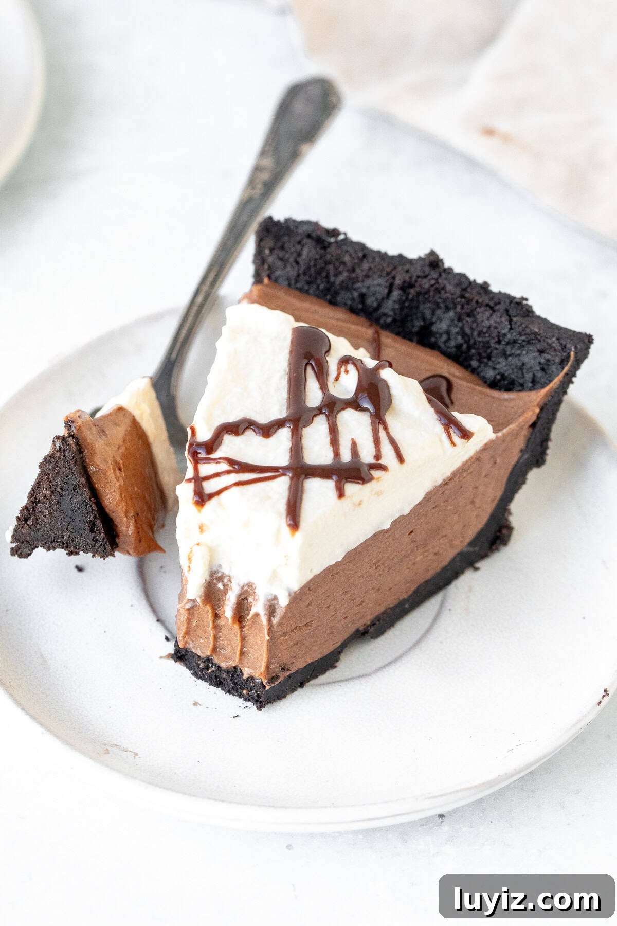 Decadent Nutella Pie Recipe with a Crispy Chocolate Crust 7 Slice of no bake Nutella pie with whipped cream and a drizzle of chocolate on top