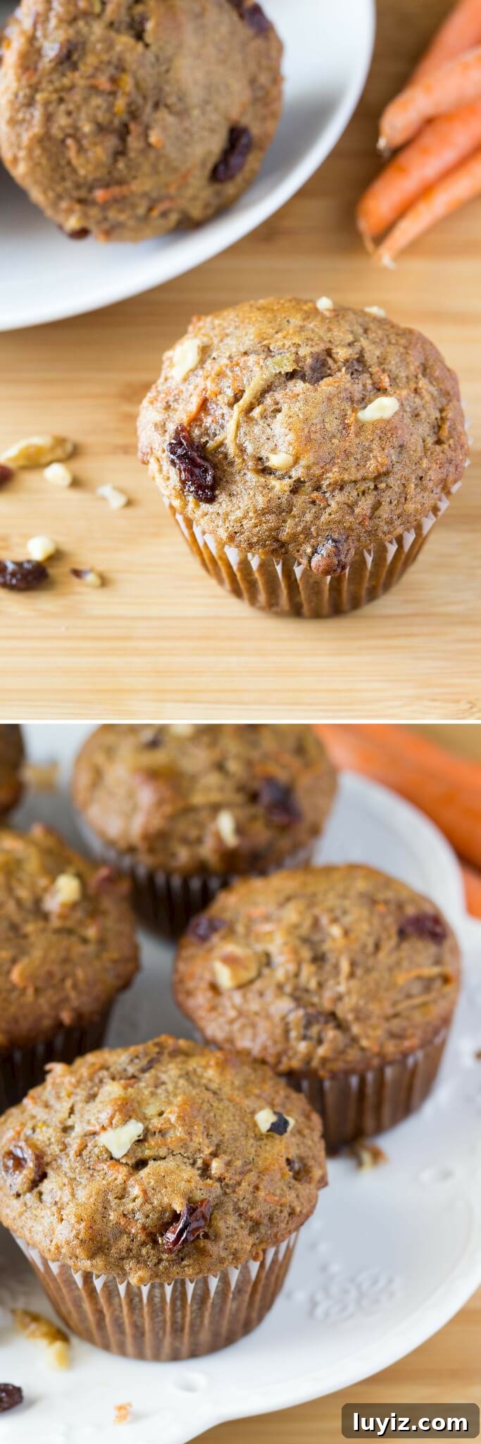 Moist Morning Glory Muffins with Carrots, Apples & Nuts 3 With shredded carrots, apple, cinnamon, orange zest, walnuts & raisins - these Morning Glory Muffins are packed with flavor and so easy to make.