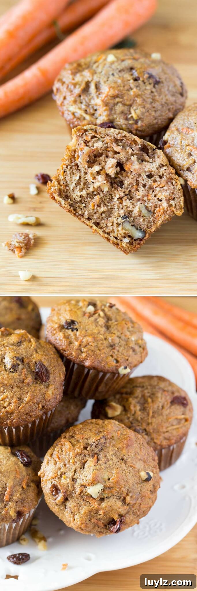 Moist Morning Glory Muffins with Carrots, Apples & Nuts 4 With shredded carrots, apple, cinnamon, orange zest, walnuts & raisins - these Morning Glory Muffins are packed with flavor and so easy to make.