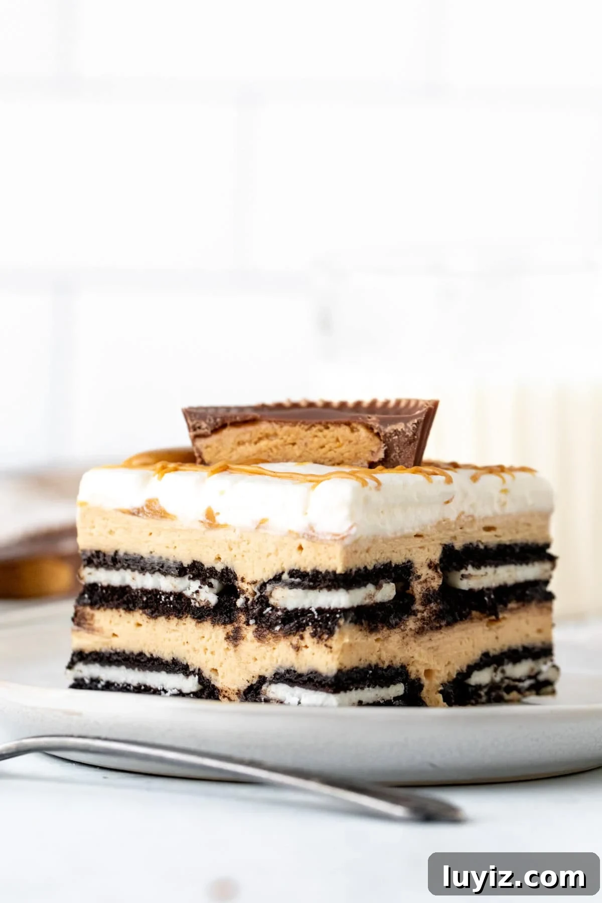 No-Bake Peanut Butter Icebox Cake Recipe — Quick Dessert 2 img 22562 1