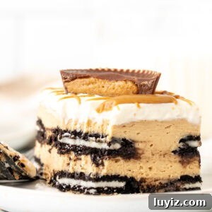 No-Bake Peanut Butter Icebox Cake Recipe — Quick Dessert 8 Square piece of peanut butter Oreo icebox cake with peanut butter cup on top