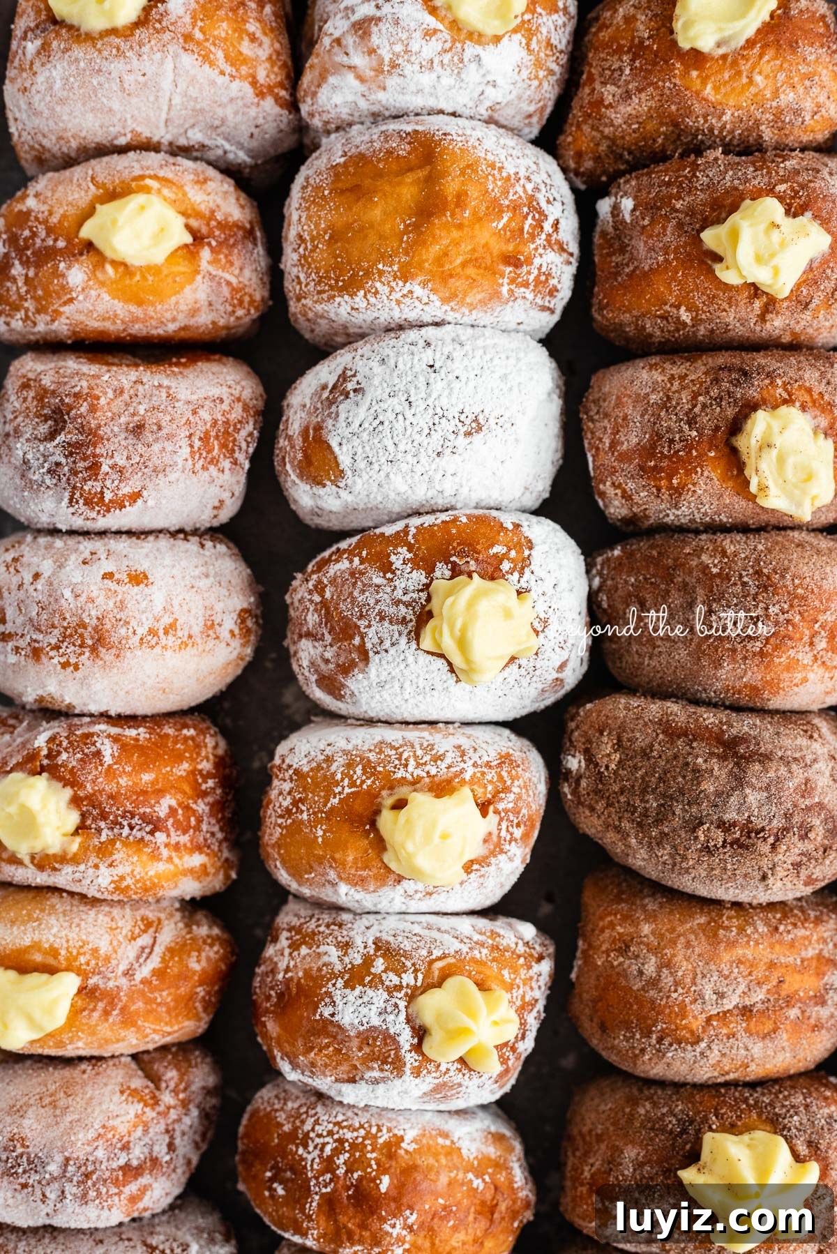 Pennsylvania Dutch Fasnacht Donuts: Traditional Recipe & History 2 Rows of pennsylvania dutch fasnacht doughnuts filled with pastry cream | © Beyond the Butter®