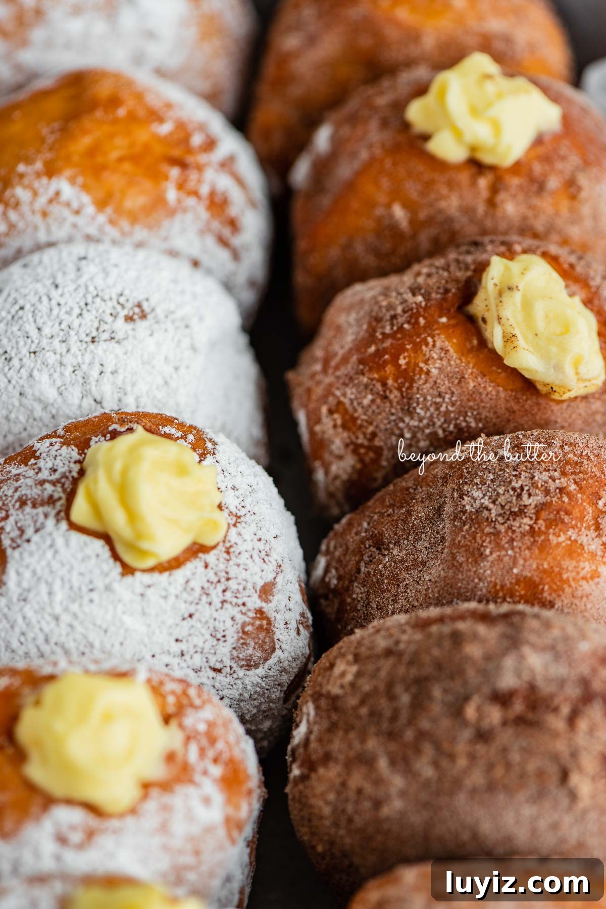 Pennsylvania Dutch Fasnacht Donuts: Traditional Recipe & History 3 Homemade Pennsylvania dutch fasnacht doughnuts filled with pastry cream | © Beyond the Butter®