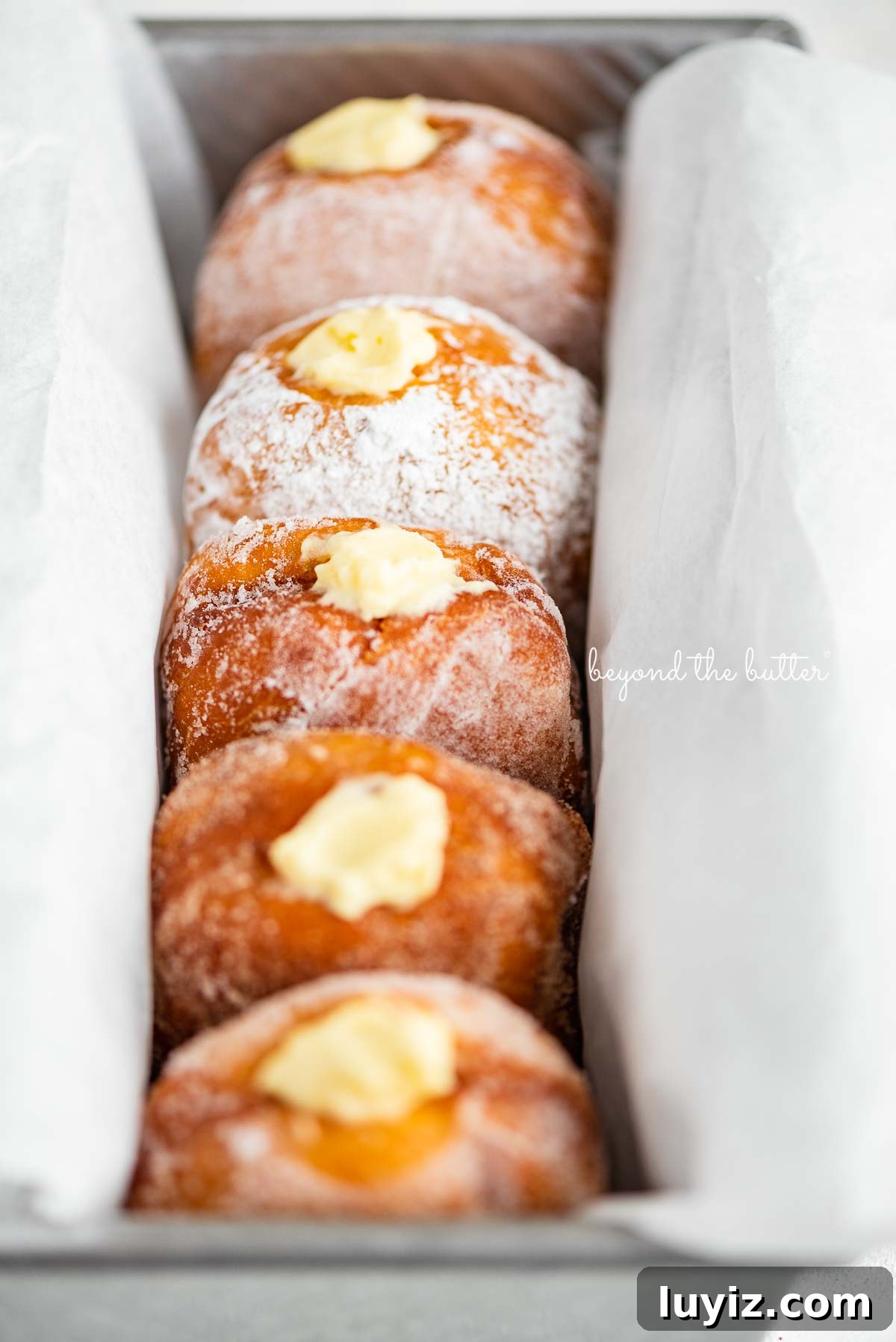 Pennsylvania Dutch Fasnacht Donuts: Traditional Recipe & History 4 Single row of pennsylvania dutch fasnacht doughnuts filled with vanilla pastry cream wrapped in parchment paper in a loaf pan | © Beyond the Butter®