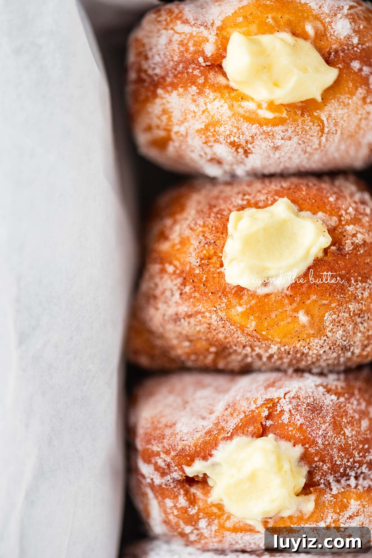 Pennsylvania Dutch Fasnacht Donuts: Traditional Recipe & History 6 Close up of homemade pennsylvania dutch fasnacht doughnuts filled with vanilla pastry cream wrapped in parchment paper in a loaf pan | © Beyond the Butter®