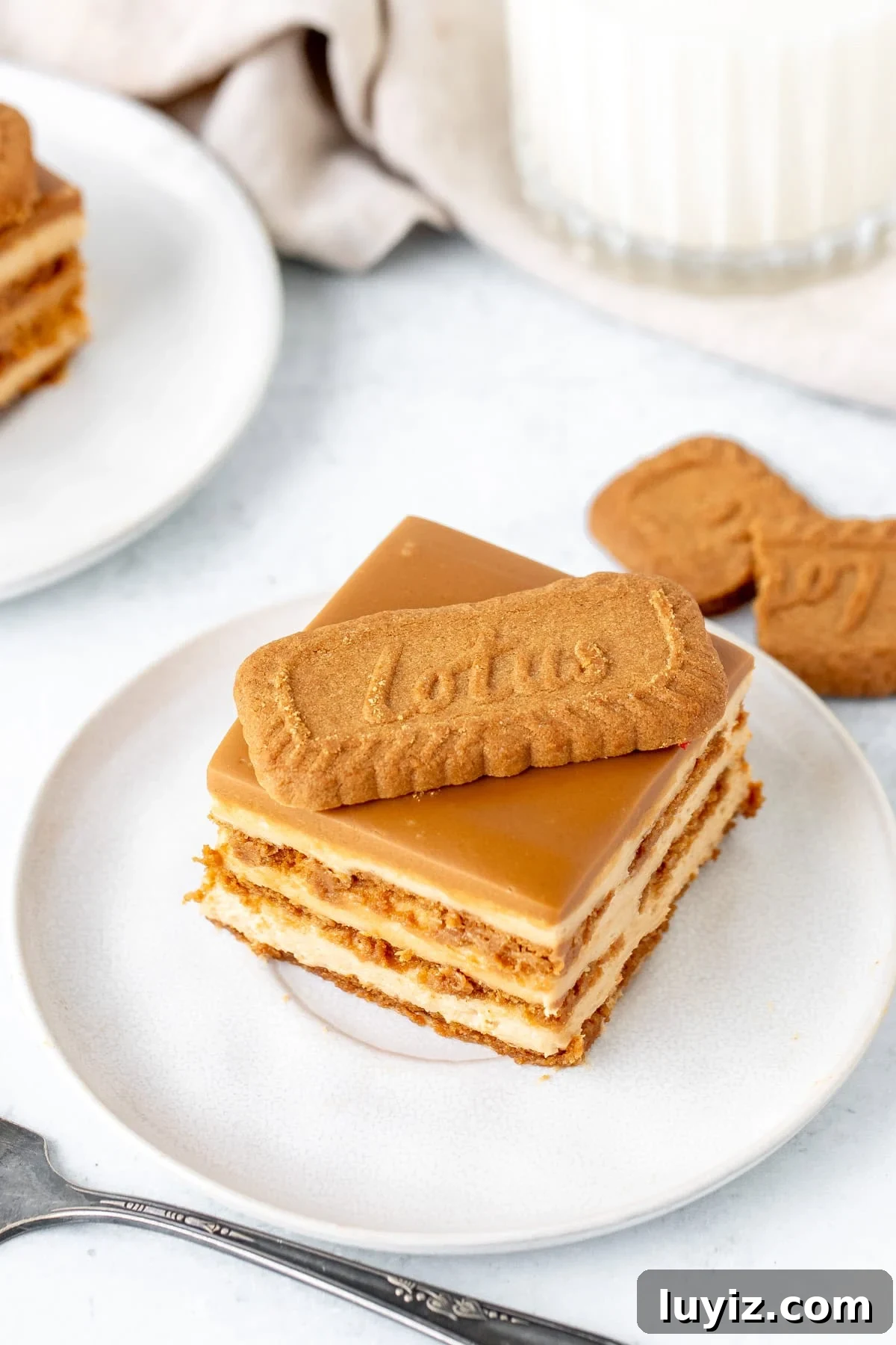 No-Bake Biscoff Icebox Cake Recipe for Creamy Layered Dessert 3 img 22588 2