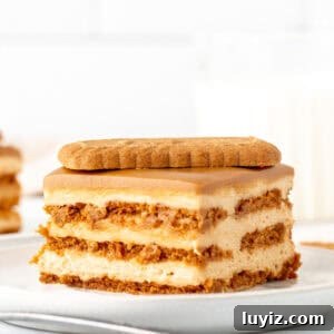 No-Bake Biscoff Icebox Cake Recipe for Creamy Layered Dessert 9 Slice of Biscoff icebox cake with layers of Lotus cookies & Biscoff cream filling
