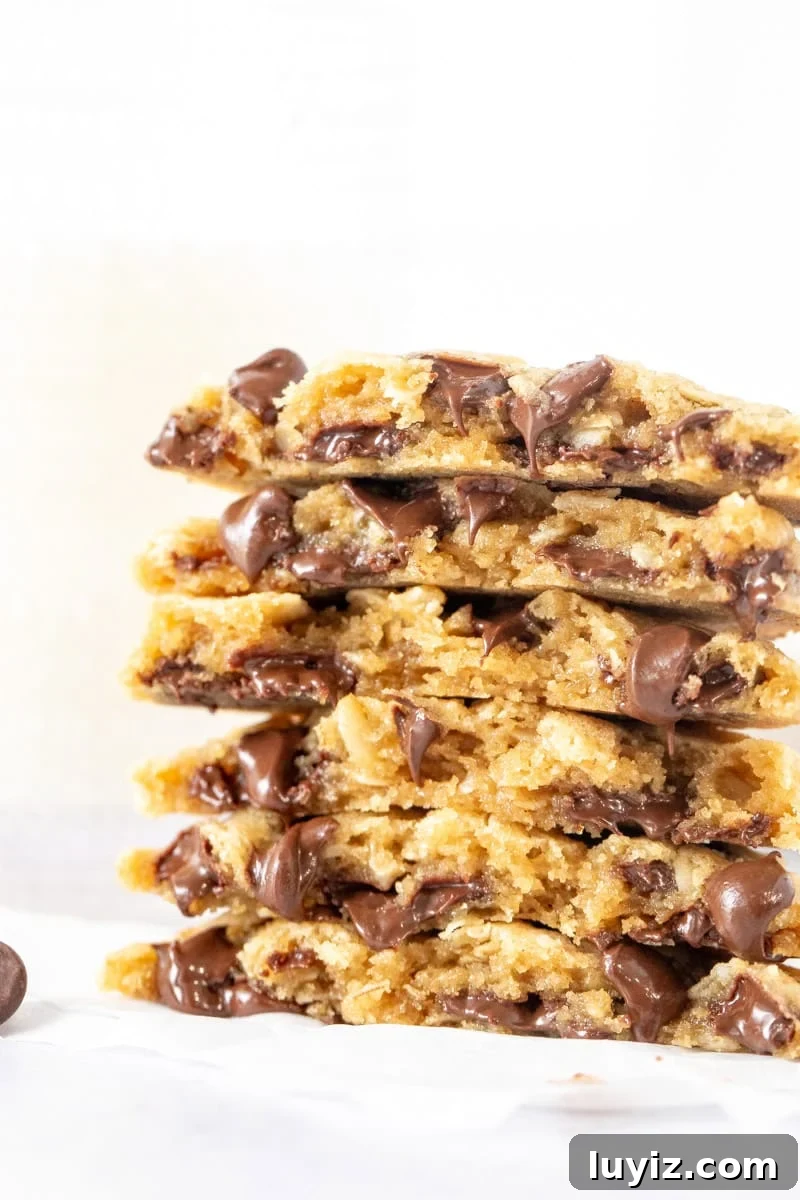 Oatmeal Chocolate Chip Cookies for Two (Small Batch Recipe) 2 Small Batch Oatmeal Chocolate Chip Cookies