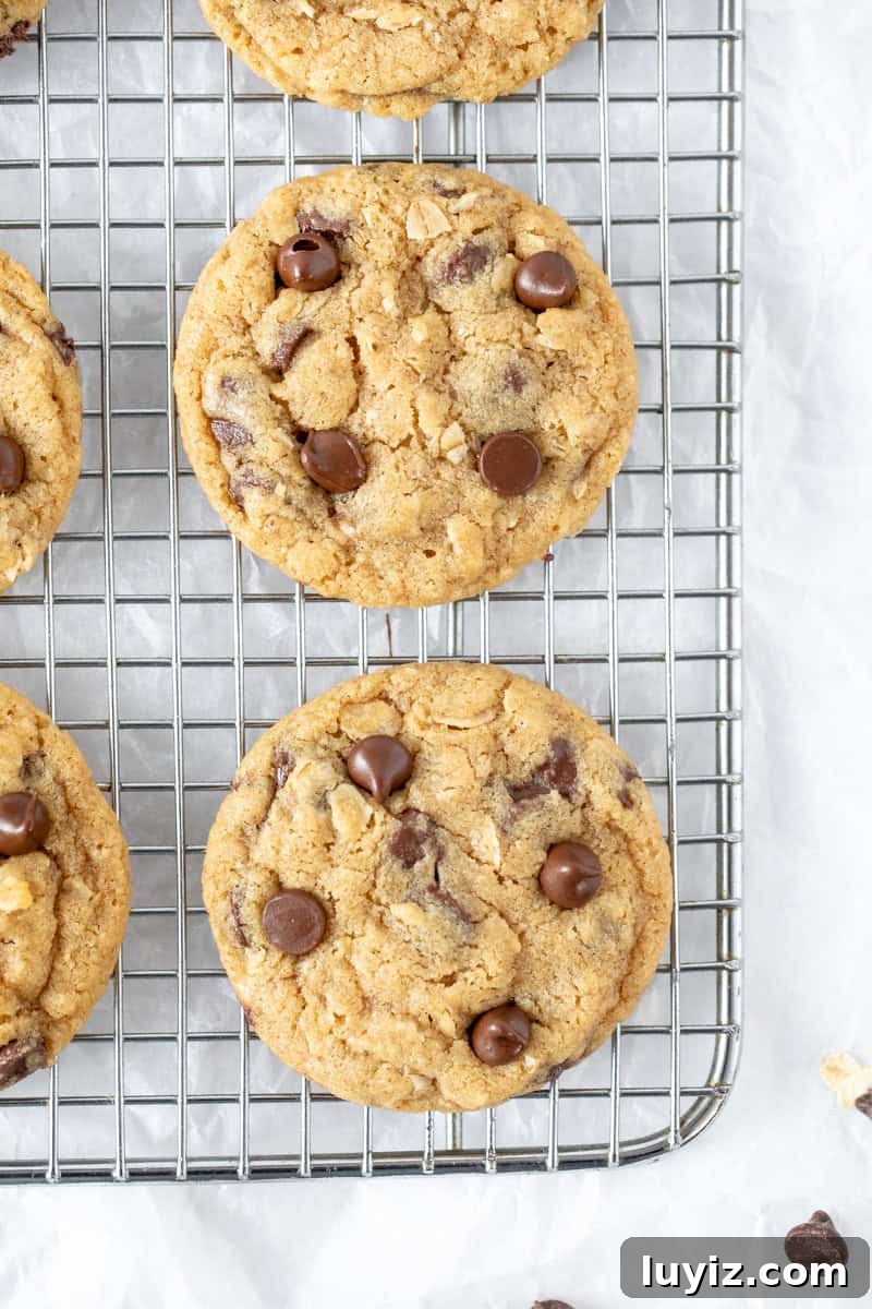 Oatmeal Chocolate Chip Cookies for Two (Small Batch Recipe) 3 Small batch oatmeal chocolate chip cookies on a cooling tray