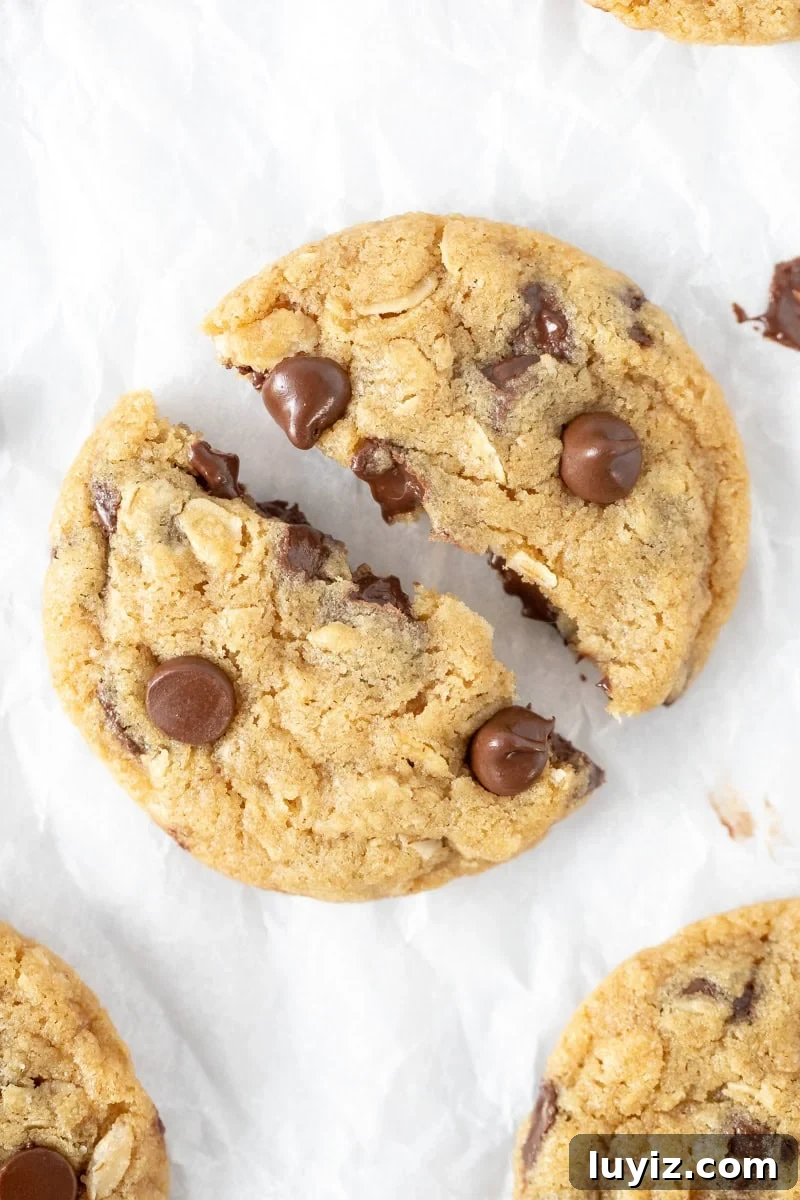 Oatmeal Chocolate Chip Cookies for Two (Small Batch Recipe) 8 oatmeal chocolate chip cookie, broken in half