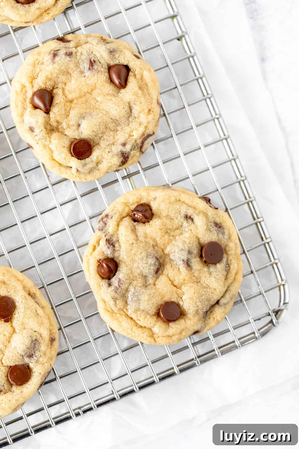 Classic Chocolate Chip Cookies for Everyday Baking 3 Everyday chocolate chip cookies, on t a cooling rack