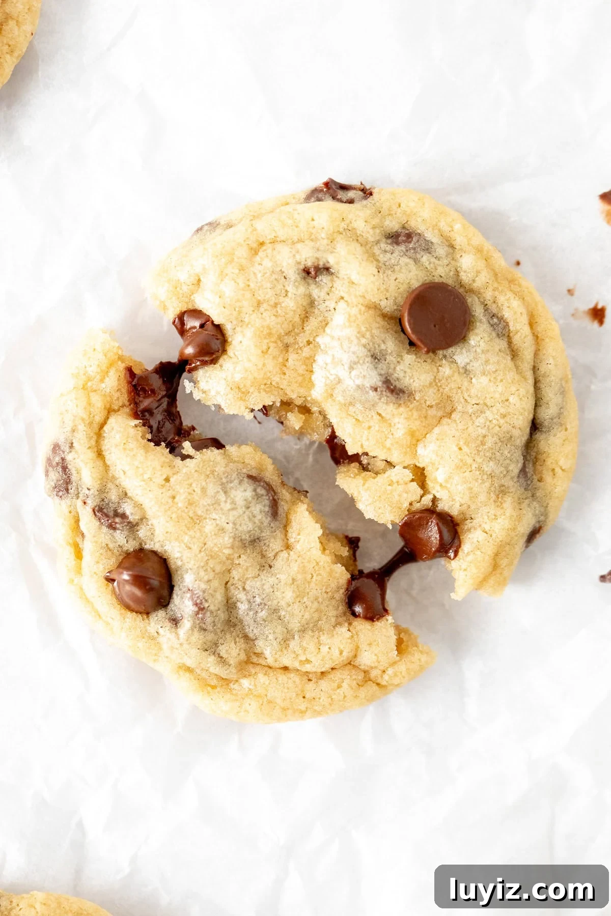 Classic Chocolate Chip Cookies for Everyday Baking 9 Chocolate chip cookie broken in half