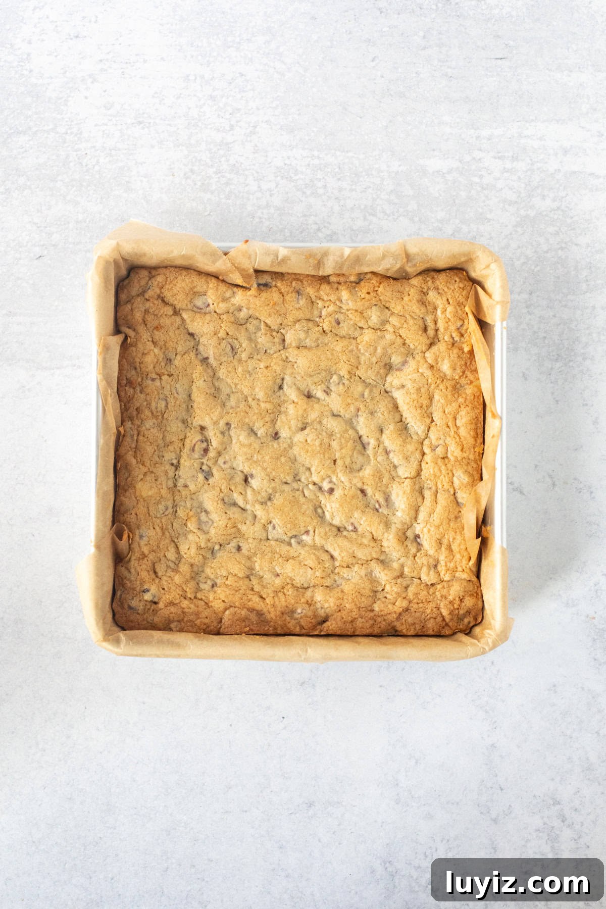 Chocolate Chip Cheesecake Bars Recipe for Rich, Creamy Dessert 11 Pan of baked chocolate chip cheesecake bars