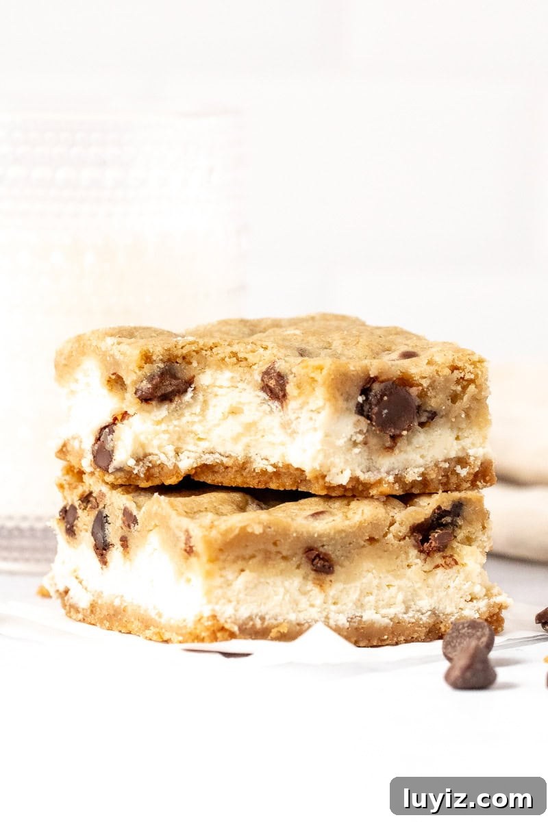 Chocolate Chip Cheesecake Bars Recipe for Rich, Creamy Dessert 12 two chocolate chip cheesecake bars with a bite take out of the top bar