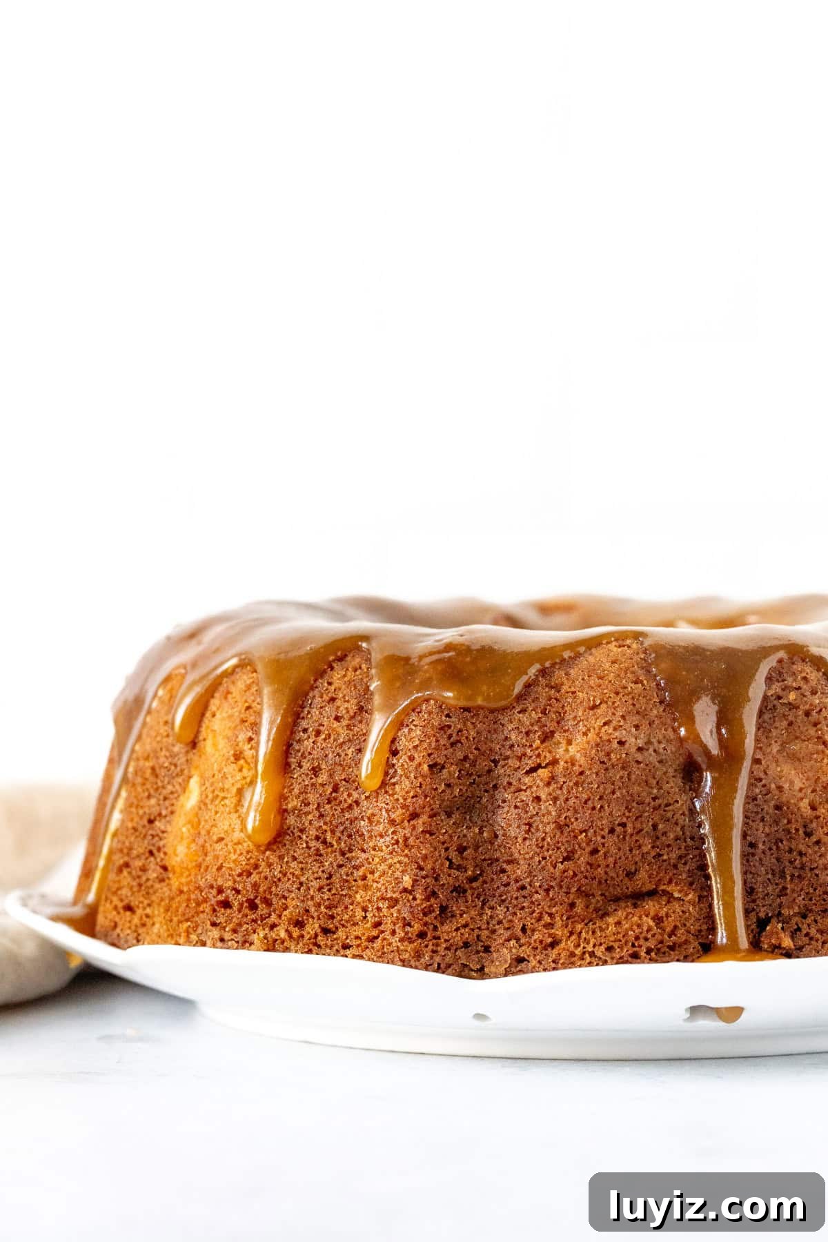 Moist Apple Bundt Cake with Cinnamon Glaze 2 Apple bundt cake topped with caramel drizzle