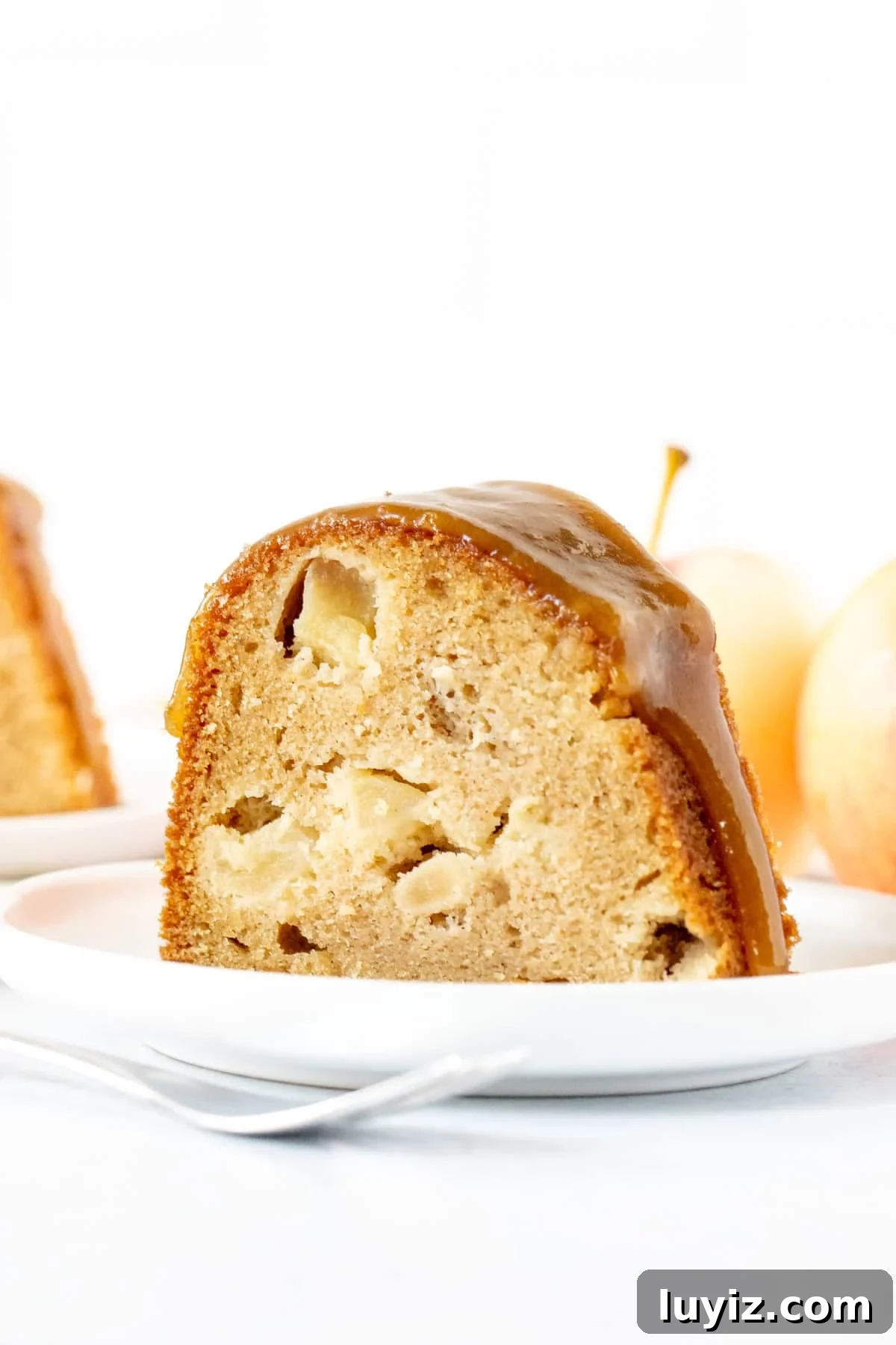 Moist Apple Bundt Cake with Cinnamon Glaze 3 Slice of apple bundt cake with brown sugar sauce on top