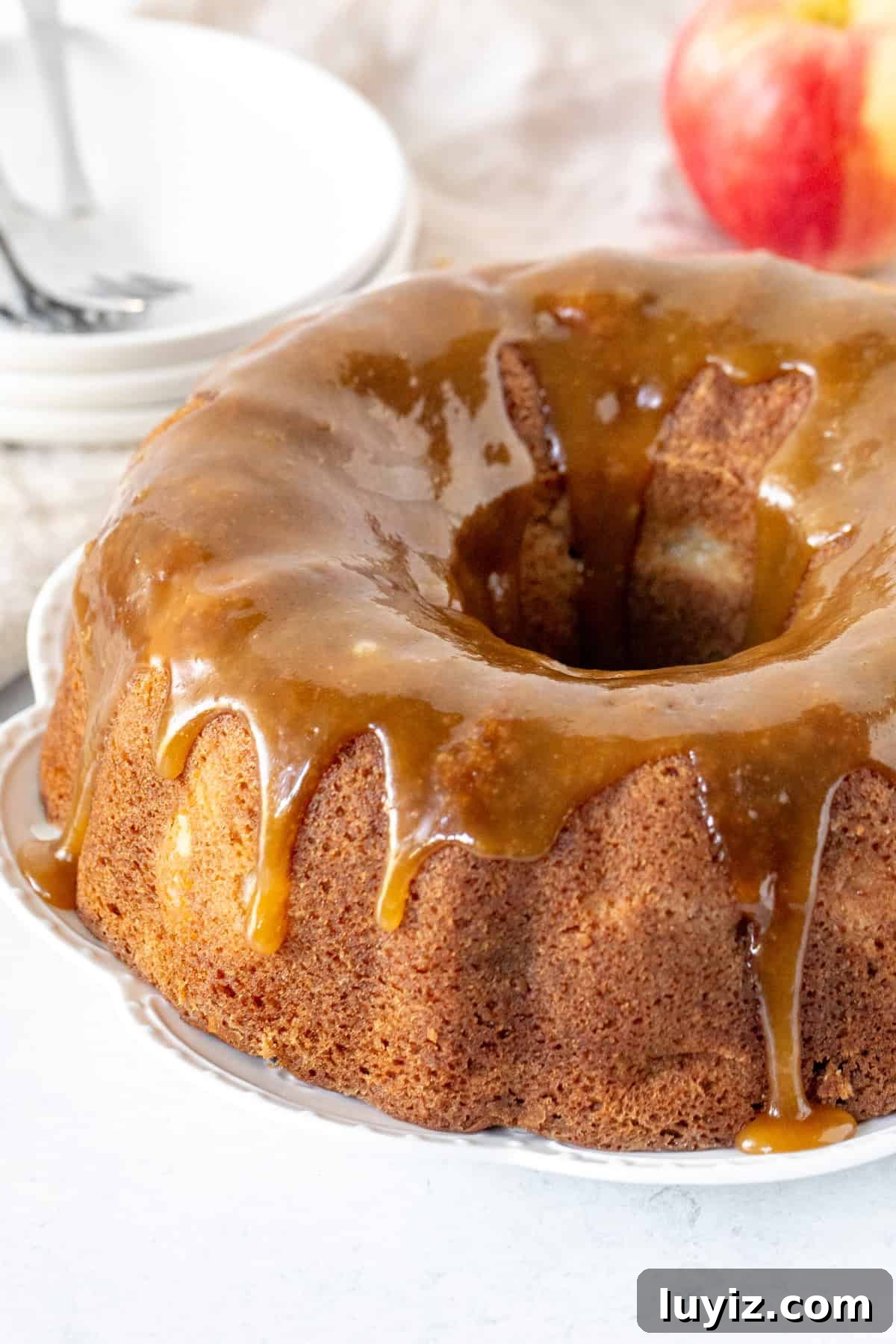 Moist Apple Bundt Cake with Cinnamon Glaze 7 9-inch round apple spice bundt cake with brown sugar glaze poured on top