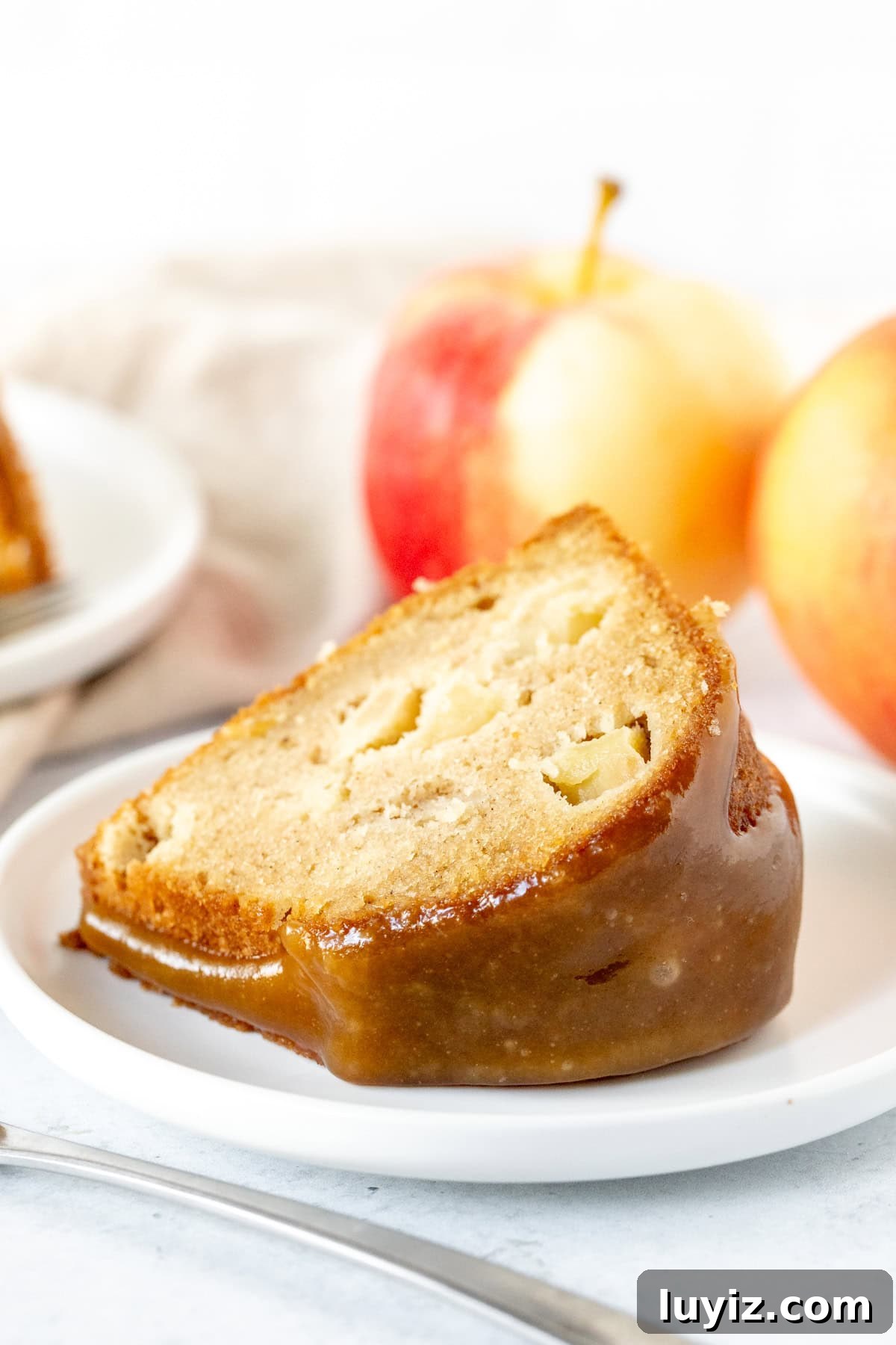 Moist Apple Bundt Cake with Cinnamon Glaze 8 Piece of apple cake made in a bundt pan and topped with caramel