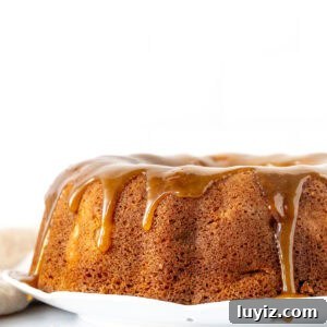 Moist Apple Bundt Cake with Cinnamon Glaze 9 Apple bundt cake drizzled with a brown sugar caramel sauce
