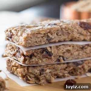 Chewy Oatmeal Cookie Granola Bars Recipe for Homemade Snacks 3 img 2305 4