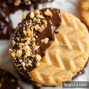 Chocolate-Dipped Peanut Butter Cookies with Crisp Edges 12 Baking sheet with randomly placed and stacked chocolate dipped peanut butter cookies.