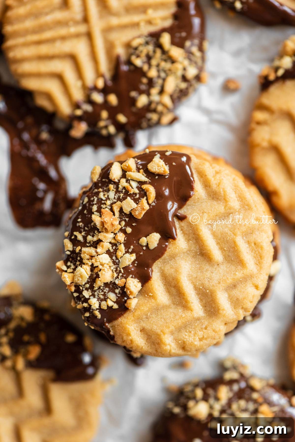 Chocolate-Dipped Peanut Butter Cookies with Crisp Edges 3 Baking sheet with randomly placed and stacked chocolate dipped peanut butter cookies | All Images © Beyond the Butter®