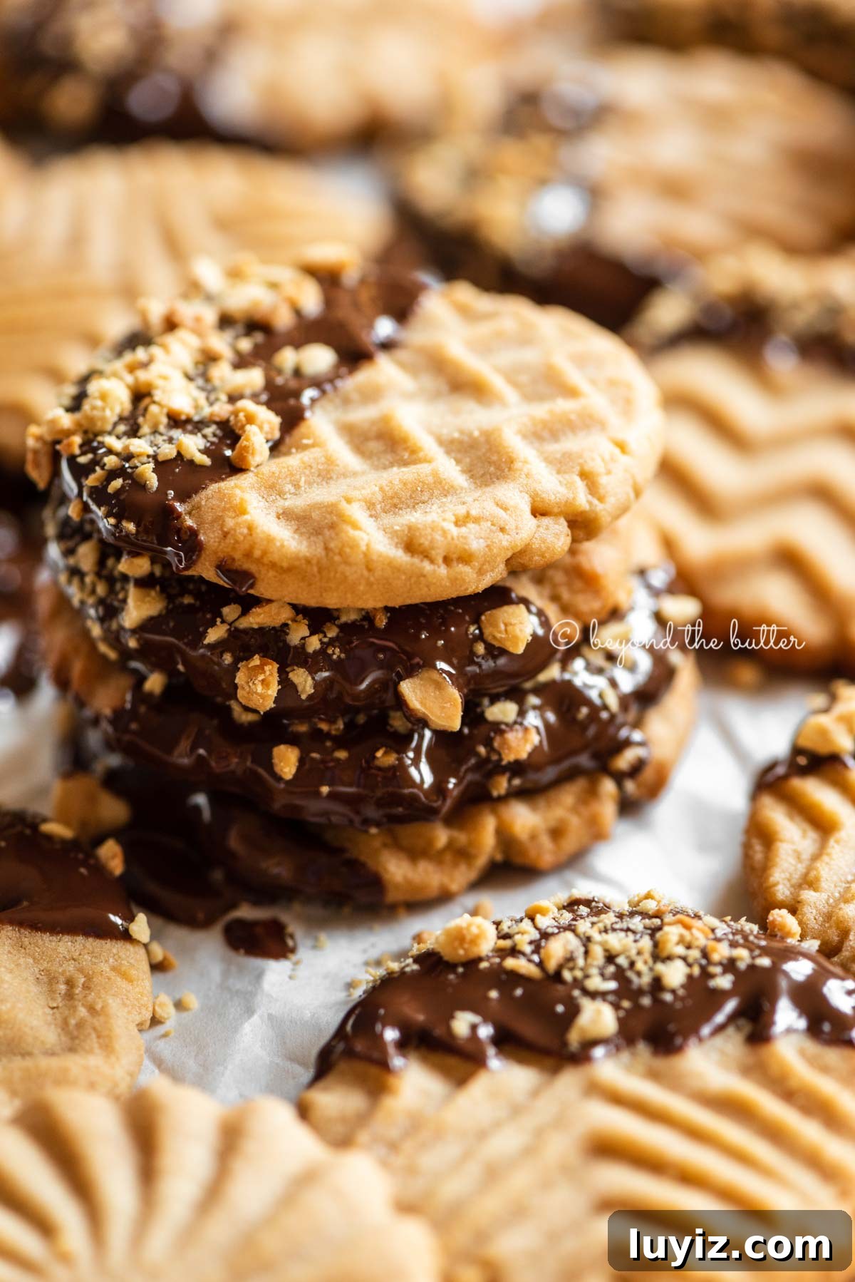 Chocolate-Dipped Peanut Butter Cookies with Crisp Edges 4 Baking sheet with randomly placed and stacked chocolate dipped peanut butter cookies | All Images © Beyond the Butter®