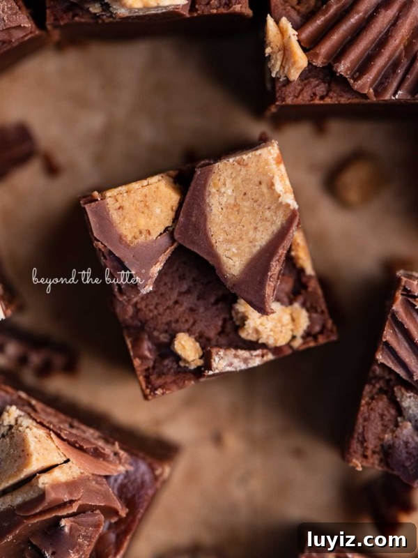 Chocolate-Dipped Peanut Butter Cookies with Crisp Edges 9 Sliced homemade chocolate peanut butter fudge on brown parchment paper.