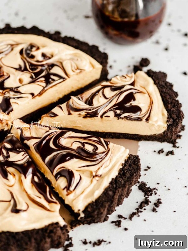 Chocolate-Dipped Peanut Butter Cookies with Crisp Edges 10 Round chocolate peanut butter tart swirled with chocolate syrup and cut into slices.