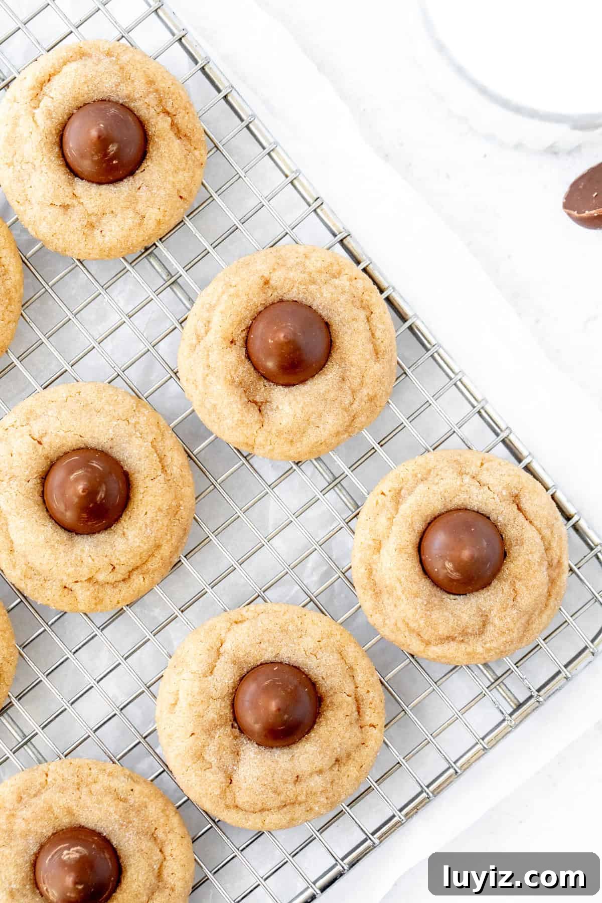 Classic Peanut Butter Blossom Cookies: Soft Baked Chocolate Kiss Cookies 7 Peanut butter blossoms on a cooling rack