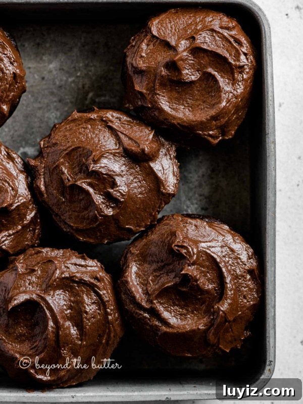 Decadent Double Chocolate Mint Brownies Recipe 11 Overhead image of small batch chocolate cupcakes in vintage metal baking tin.
