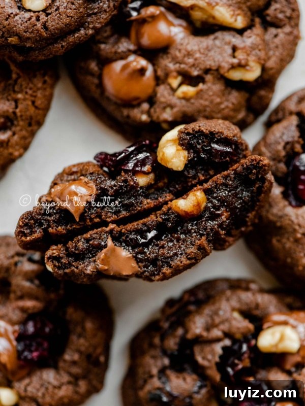 Decadent Double Chocolate Mint Brownies Recipe 12 Dark chocolate cranberry walnut cookie split in half to see the inside.