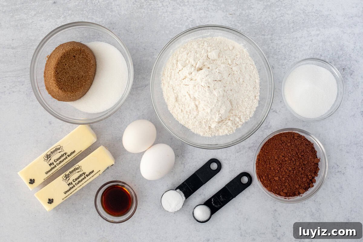 Ultimate Chocolate Sugar Cookie Recipe for Soft, Chewy Cookies 4 Ingredients for chocolate sugar cookies