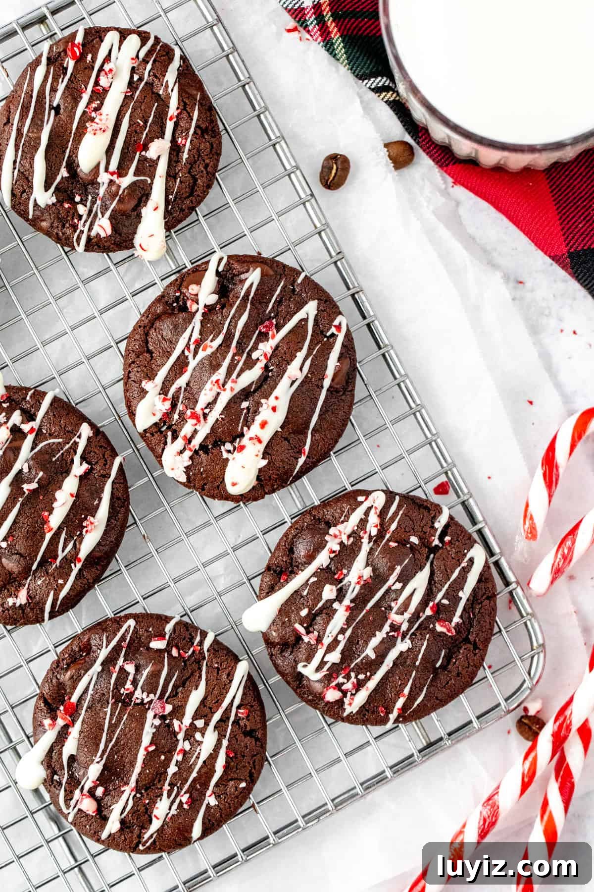 Peppermint Mocha Cookie Recipe — Festive Chocolate Coffee Cookies 6 img 23426 5