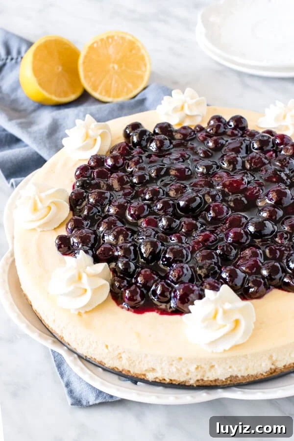 Lemon Cheesecake with Blueberry Compote Recipe 3 Entire round cheesecake with blueberry topping.