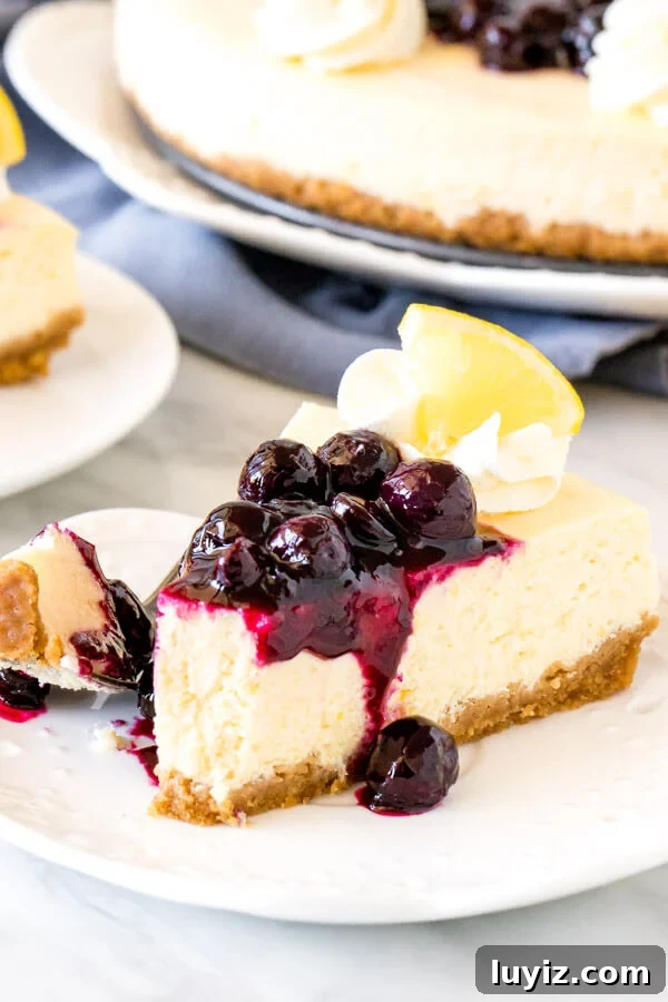 Lemon Cheesecake with Blueberry Compote Recipe 5 Slice of cheesecake with a bite taken out of it on a plate with entire cheesecake in the background.
