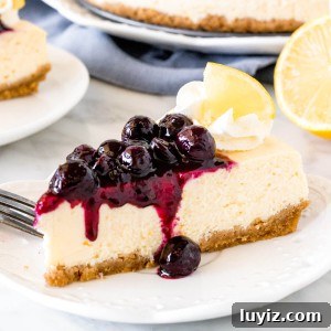 Slice of lemon cheesecake with blueberry sauce