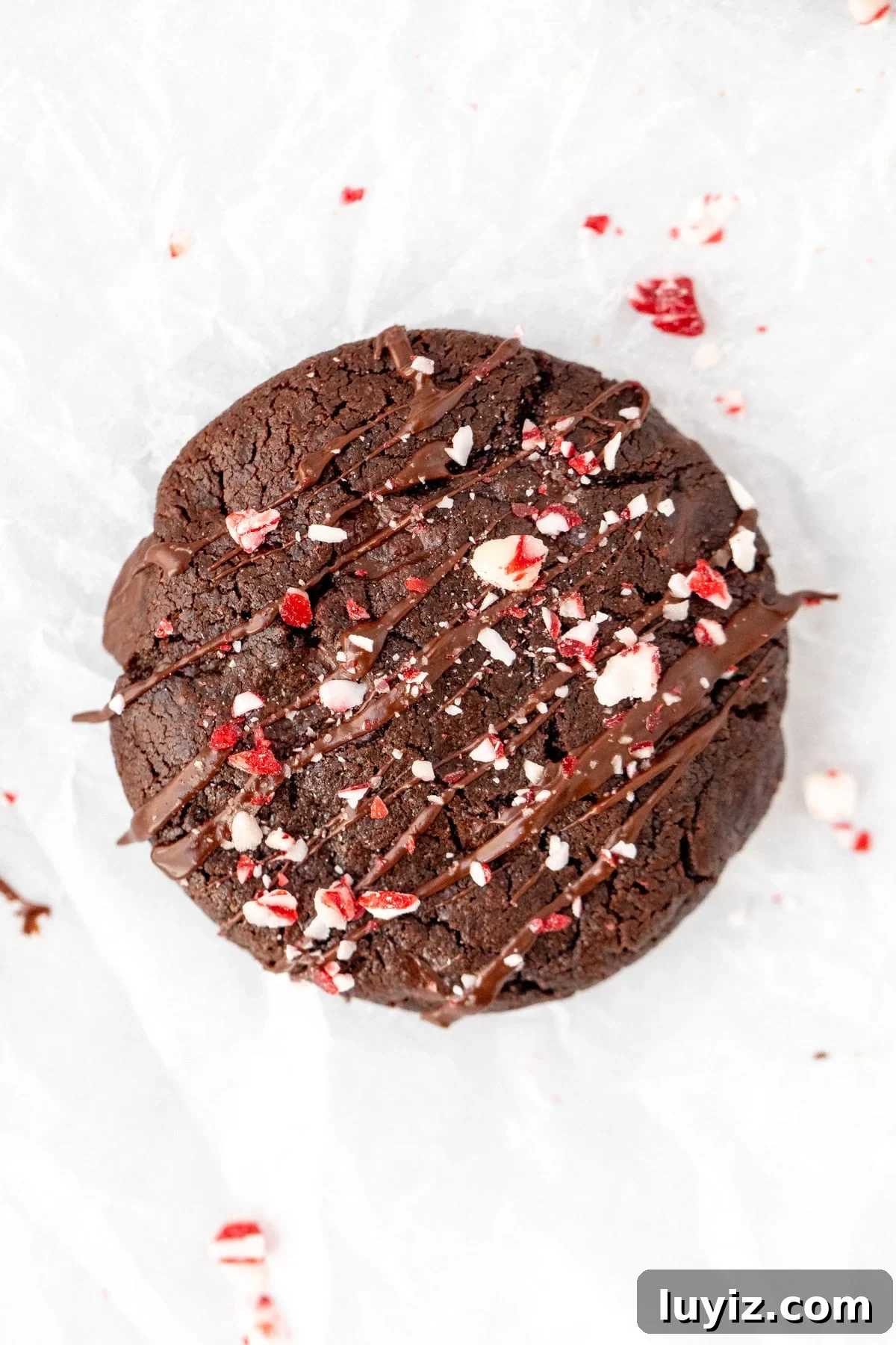 Double Chocolate Peppermint Cookies Recipe for Holiday Baking 2 Chocolate peppermint cookie topped with a drizzle of chocolate and a sprinkle of crushed candy canes
