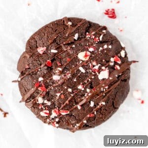 Double Chocolate Peppermint Cookies Recipe for Holiday Baking 11 Chocolate peppermint cookie with drizzle of chocolate and crushed candy canes on top