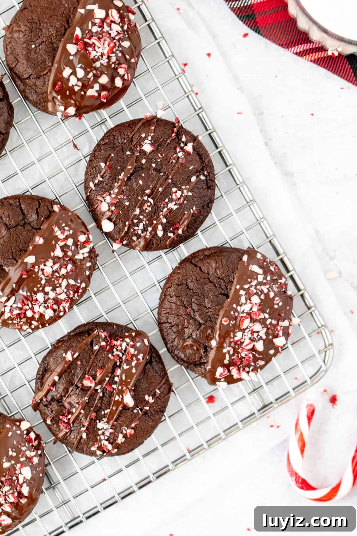 Double Chocolate Peppermint Cookies Recipe for Holiday Baking 5 chocolate peppermint cookies on a cooling rack, topped with chocolate and crushed candy canes.
