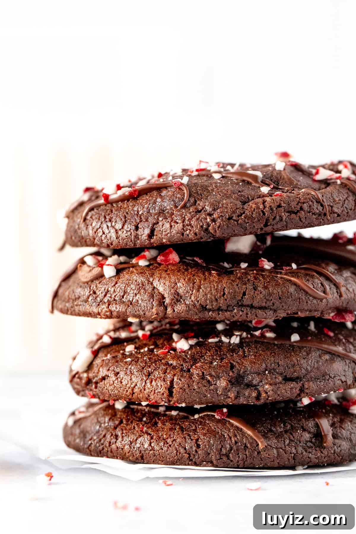 Double Chocolate Peppermint Cookies Recipe for Holiday Baking 6 Stack of thick and fudgy chocolate candy cane cookies